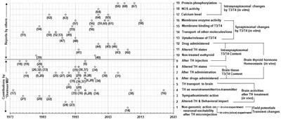 Unveiling the nongenomic actions of thyroid hormones in adult mammalian brain: The legacy of Mary B. Dratman